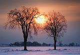Winter Scenes